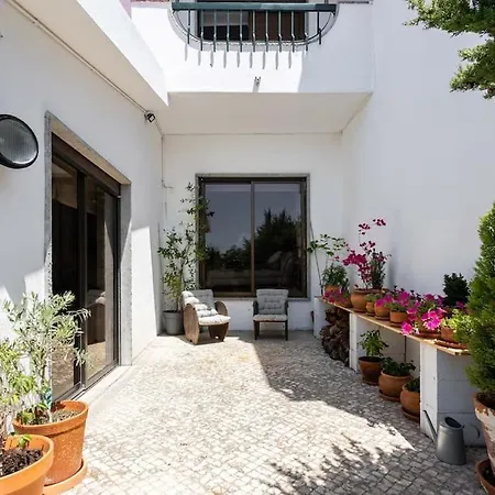 Tailor Made With Ocean View In *